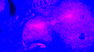 Hot Black Maid Does Some Webcam Black and Ebony