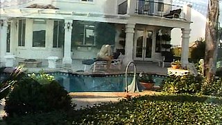 Hot POV homemade blowjob with brunette girlfriend