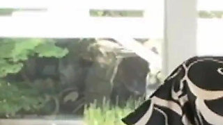 Interracial video with Claudia Valentine a slut with a shaved pussy fucking with a BBC that breaks her pussy