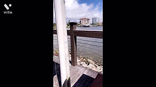 She Wanted a Big Dick in Her Ass After School so She Come to Pornbox Then More Dick on the Beach