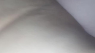 Wobbly dachshund camera little cringe for it fuck and freestyle