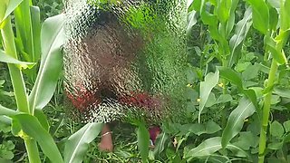 Indian Sister-in-Law Doggy Style Outdoor Fuck in Jungle Farm