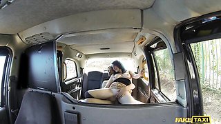 Gentle puss's outdoor video