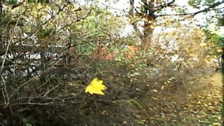 Teenenger Fucked in the Park and Squirted in Mouth