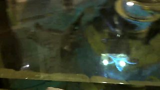 ATK Girlfriends-Virtual Vacation With Makenna