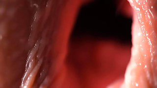 Doggy style penetration on a macro lens: in great detail