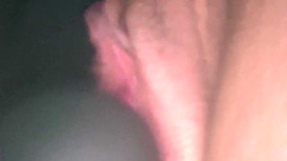 Cucumber Planting Lesson