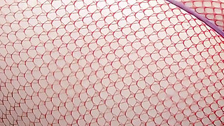 Shower Piss and Milk Enema