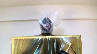 Japanese amateur Asian big boobs mother