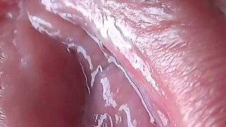 Close-up of a Plump Pussy