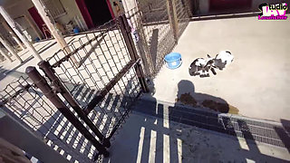 Outdoor Gulp - a Sweet Muse Turns a Simple Walk Into a Swish Tour Chapter-2