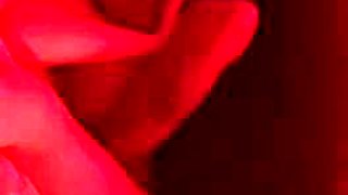 Party: Blowjob, Missonary  Hardcore Porn