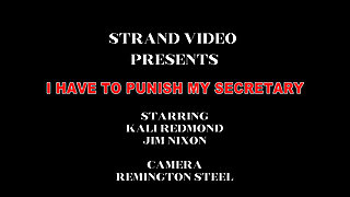 I Punish My Secretary