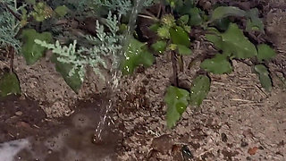 Compilation of Public Pissing in Nature! Showing Pads! POV!