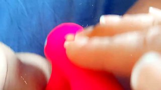 Pink dildo fucks pierced cunt