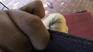 Young blonde babe in a pink dress gives a blowjob in the car and gets fucked in the backyard
