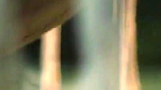 A Hot Affair with Kayden Kross and Manuel Ferrara