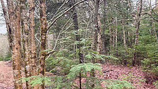 pussy pissing  water on the rock