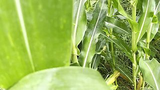 Desi Bhabhi Hardcore Outdoor Sex with Devar in Village Farm - Big Natural Tits Cowgirl Action