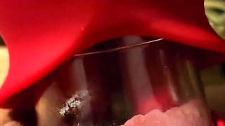 I Got Lots of Toys Another Sucking Licking Toy to Try