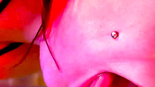 Squirt on the Table!