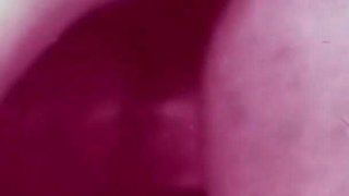 Vintage porn retro erotic theatre - Robins nest