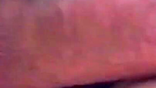 Picnic Date Explodes Into Outdoor Pounding and Sloppy 69