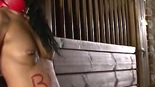 Humiliates scribbled body