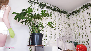 Plant Leaf Cleaning