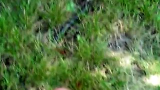 Young Mexican Amateur Humiliated Outdoors