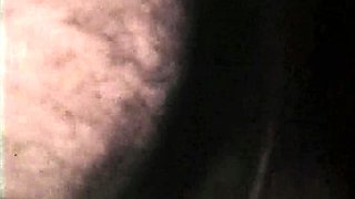 British brunette young amateur blowjob