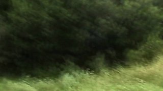 Amateur blonde ass fucked and facialized
