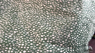 Clown Shrinks Your Dick