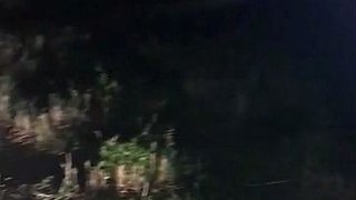 Amateur striptease and Solo masturbation