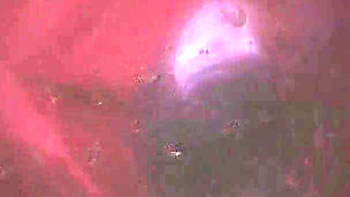 B019 Long Video with Plot Man Shrunk and Stuffed Into Anus Rectum in Vivo View POV