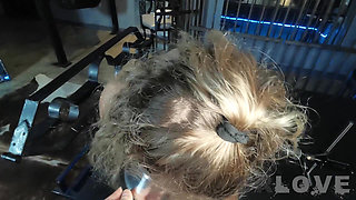 Venom Evil Is the Perfect Toilet