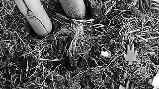 Seven Days to Be My Slave