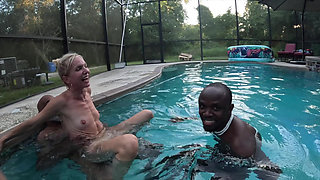 BBC Sharks in the Pool