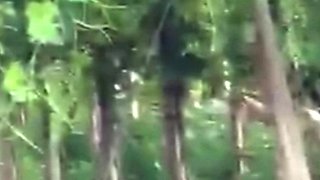 Spying blonde hooker fucking in the woods
