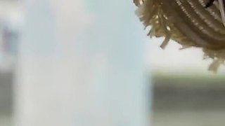 Stacy and friends spend the day on a boat playing and fucking