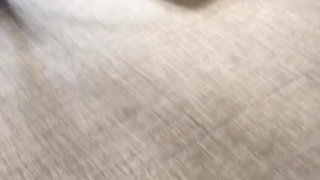 Lest Go Daddy Fuck Me