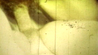 Worn Sepia Loop Captures Curly Retro Couple in Raw Bedroom Passion