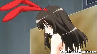 Playboy bunny and maid hentai porn
