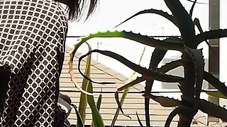 I Pee in the Potted Plant Again