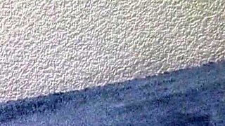 Redhead Adult Star Uses Dildo and Sucks Cock