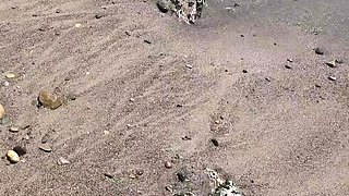 Busty amateur teen outdoor hardcore action with cum