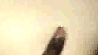 Banging Wife Gets Back at Husband hh