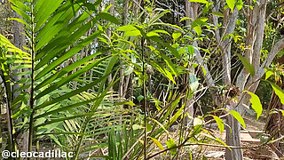 Masturbating on the Balcony of My Farm.