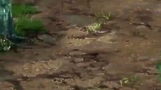 Naruto Hentai - Naruto Trainer [v0.16.1] Part 69 Tenten Masturbation!! by Loveskysan69