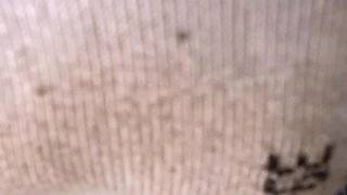 amateur his tall blonde fetish masturbating on live webcam